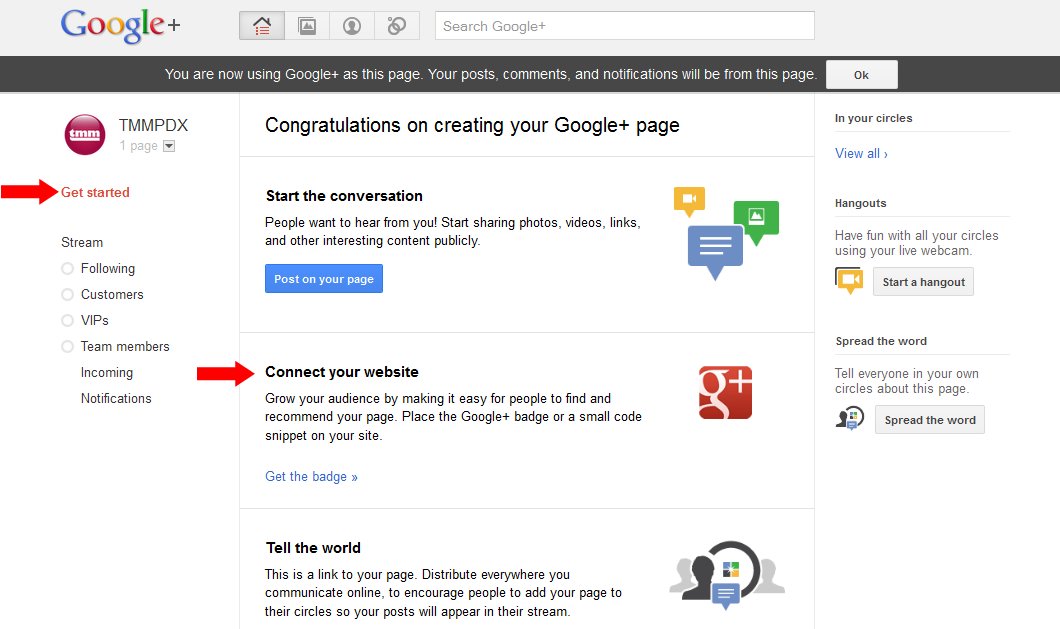 Connect your website to your Google+ page by using the code generated in your account.